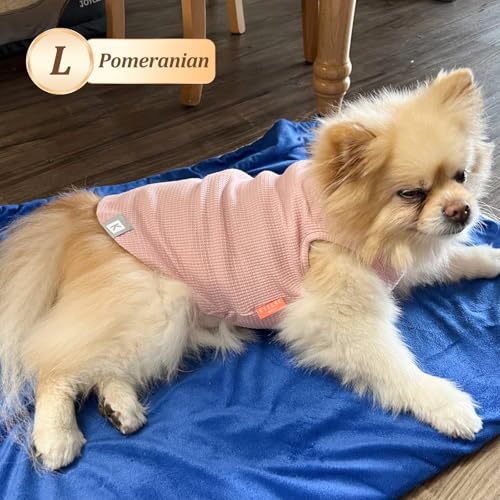 2Pack Waffle Dog Shirt for Small Dogs Striped Dog Sweater Tank Top (Large (12-18lbs) / 2Pack(Pink+Striped))