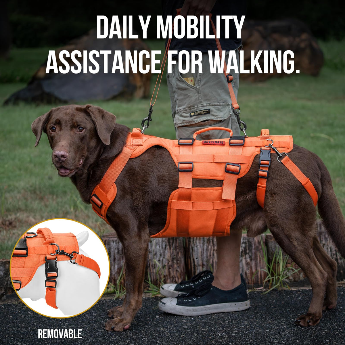 Dog Lift Harness for Large Dogs (Orange / XL)