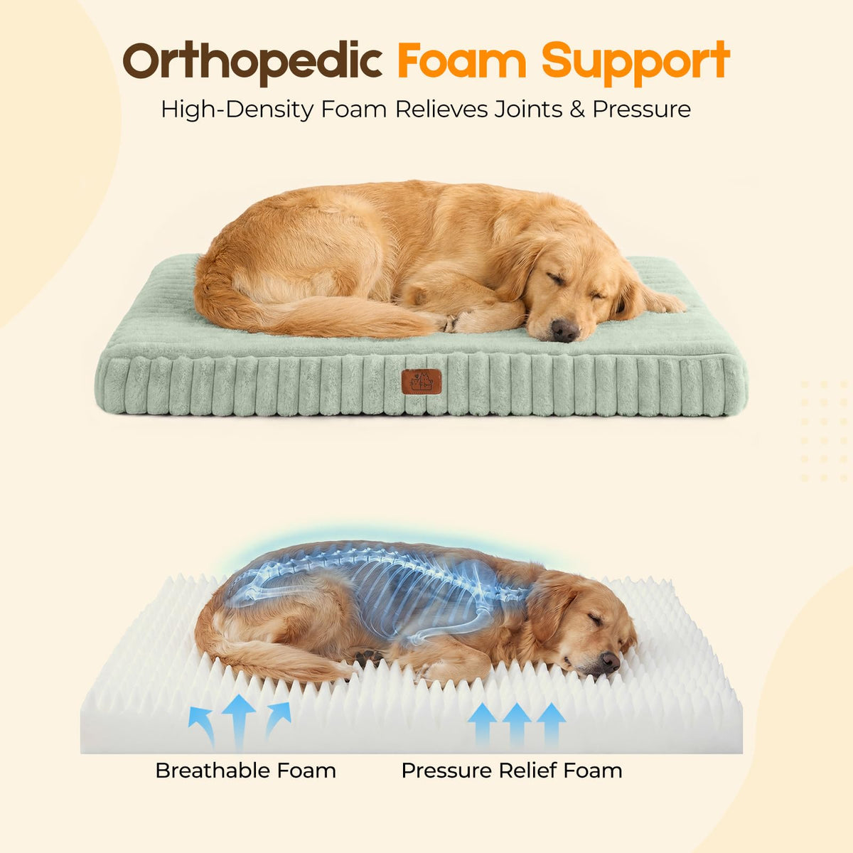 Orthopedic Dog Bed for Medium Dog (Green / 30"x20"x3")