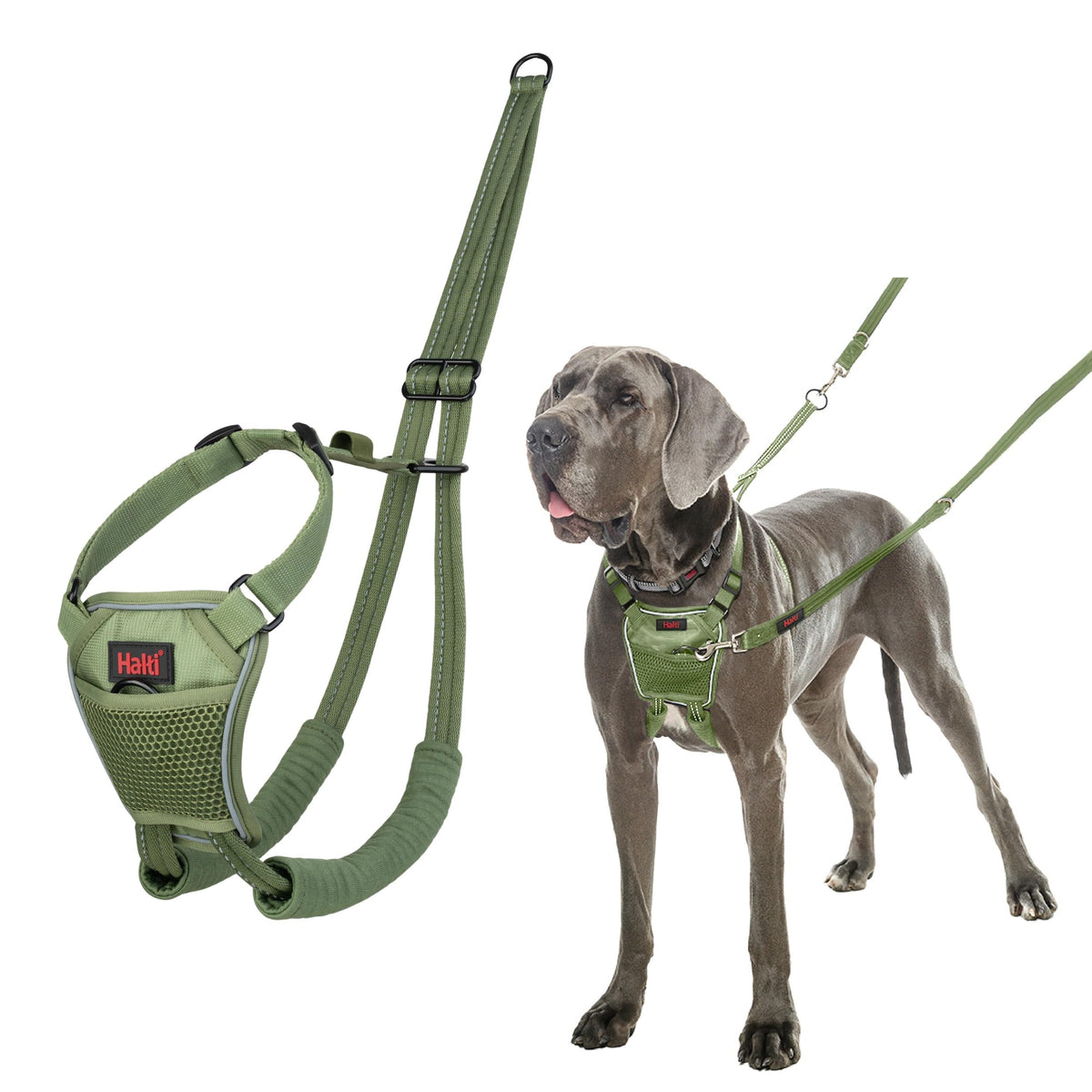 No Pull Dog Harness (Forest Green / L)