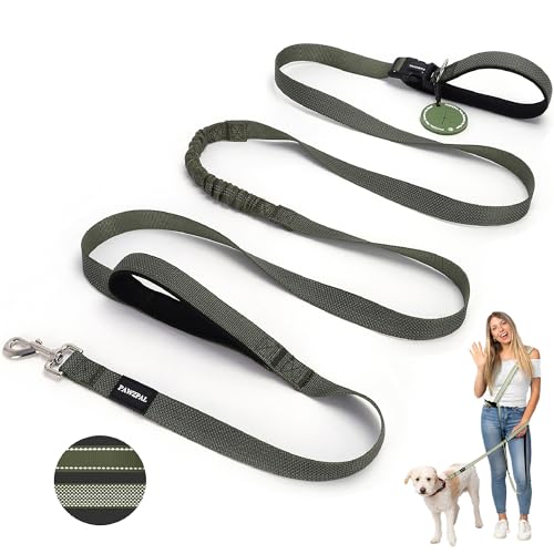 Hands Free Dog Leash (Olive Green / Large (8–10FT))