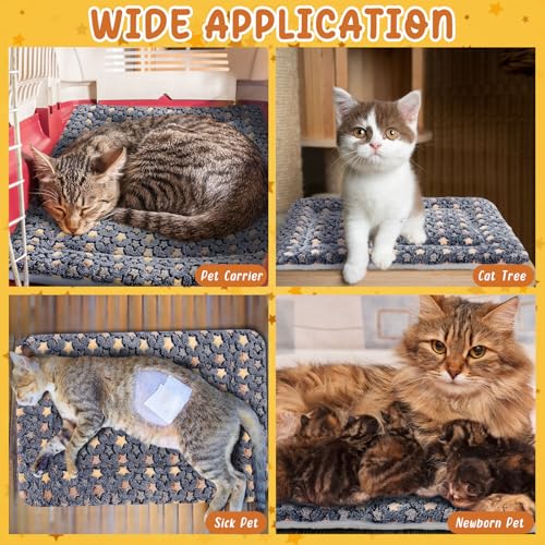 2 Pack Self Warming Cat Mat (Dark Grey / 21" X 14")