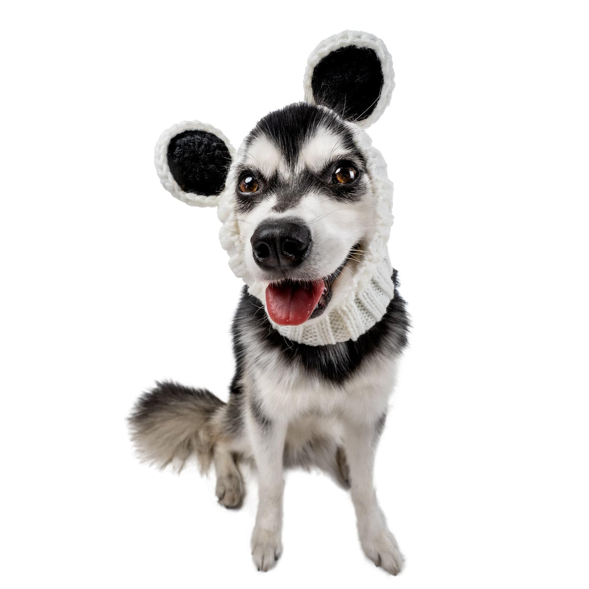 Panda Costume (Medium / Panda)