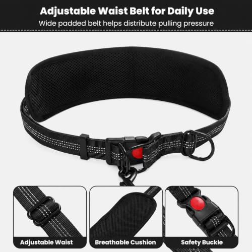 Hands Free Double Dog Leash (Pure Black)