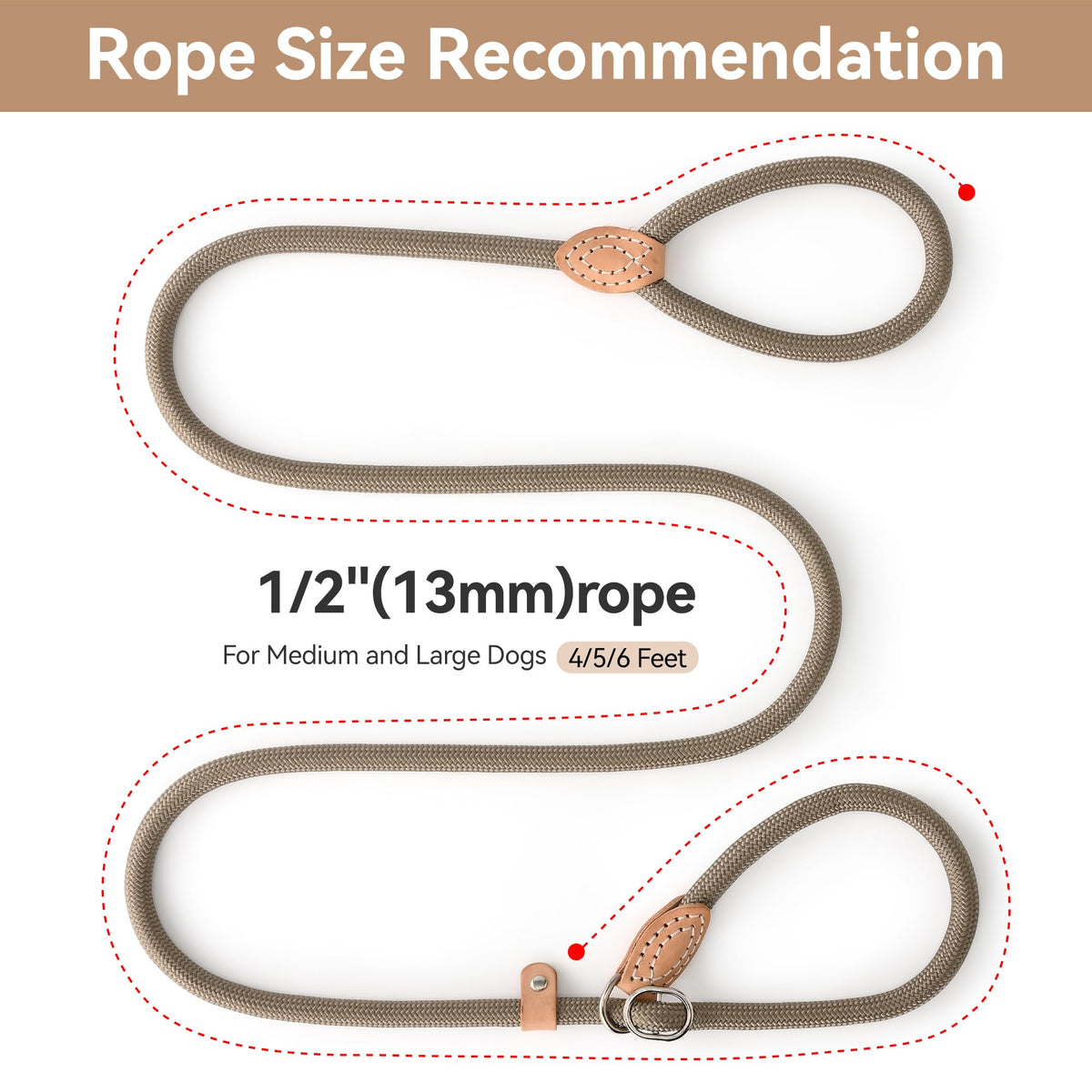 Heavy Duty Slip Lead No Pull Leash 6 (Khaki / 6 Feet)