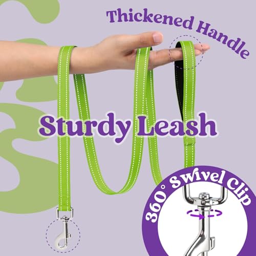 Dog Harness Small Sized and Leash Set (Purple & Green / XS (Chest: 13.3"-15.5"))