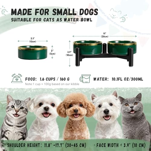Ceramic Elevated Dog Bowl Set (dark green / 1.6 Cups)
