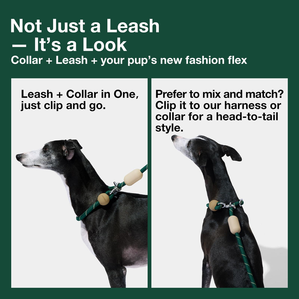 Hands Free Dog Leash (Santal Forest Green)