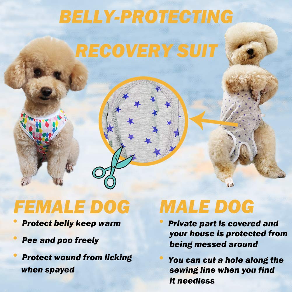 Dog’s Recovery Suit Post Surgery Shirt for Puppy (X-Small / red white stripe)