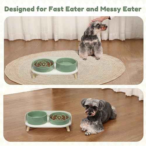Elevated Slow Feeder Dog Bowls with Splash Proof Stand (Medium / Green)