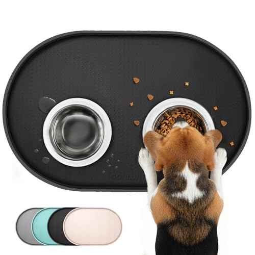 Dog Food Mat 1 (19 x 12" - Standard / Black)