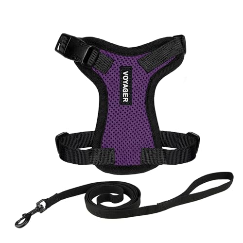 Voyager Step in Lock Cat Harness & Leash Set (Purple/Black Trim / XS (Chest: 13 - 16"))