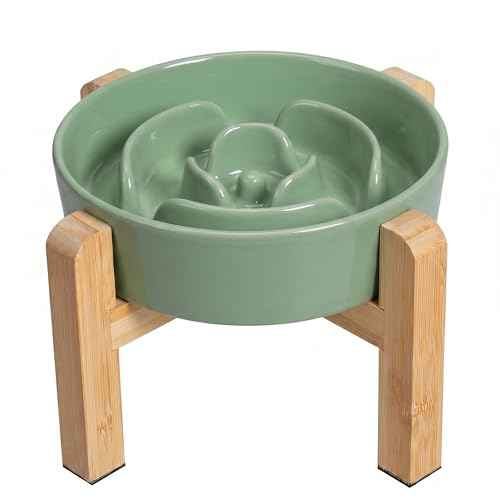 Elevated Slow Feeder Dog Bowl (Green / 1.5 Cups)