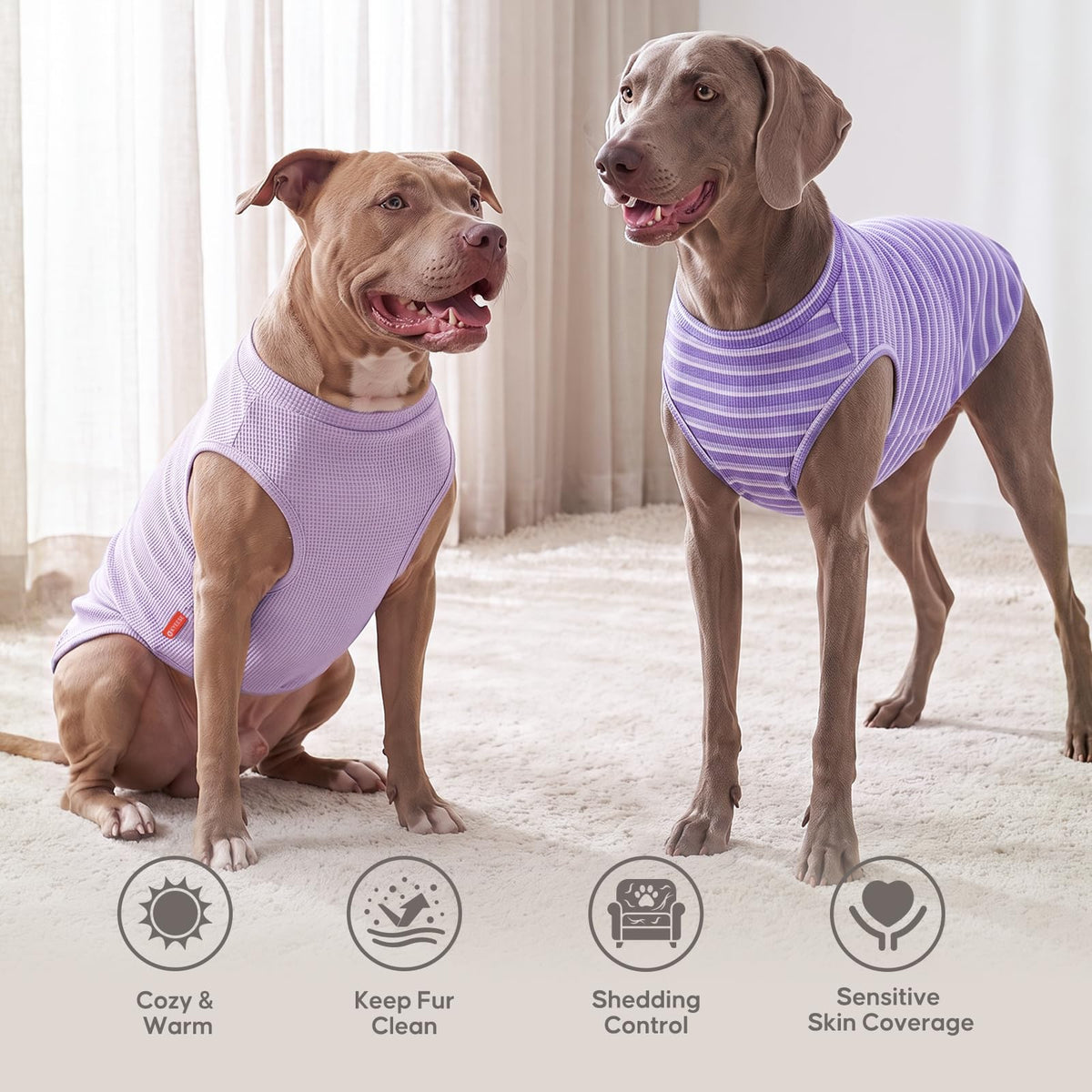 2Pack Waffle Dog Shirt for Small Medium Dogs Striped Dog Sweater (X-Large (19-27lbs) / 2Pack(Purple+Striped))