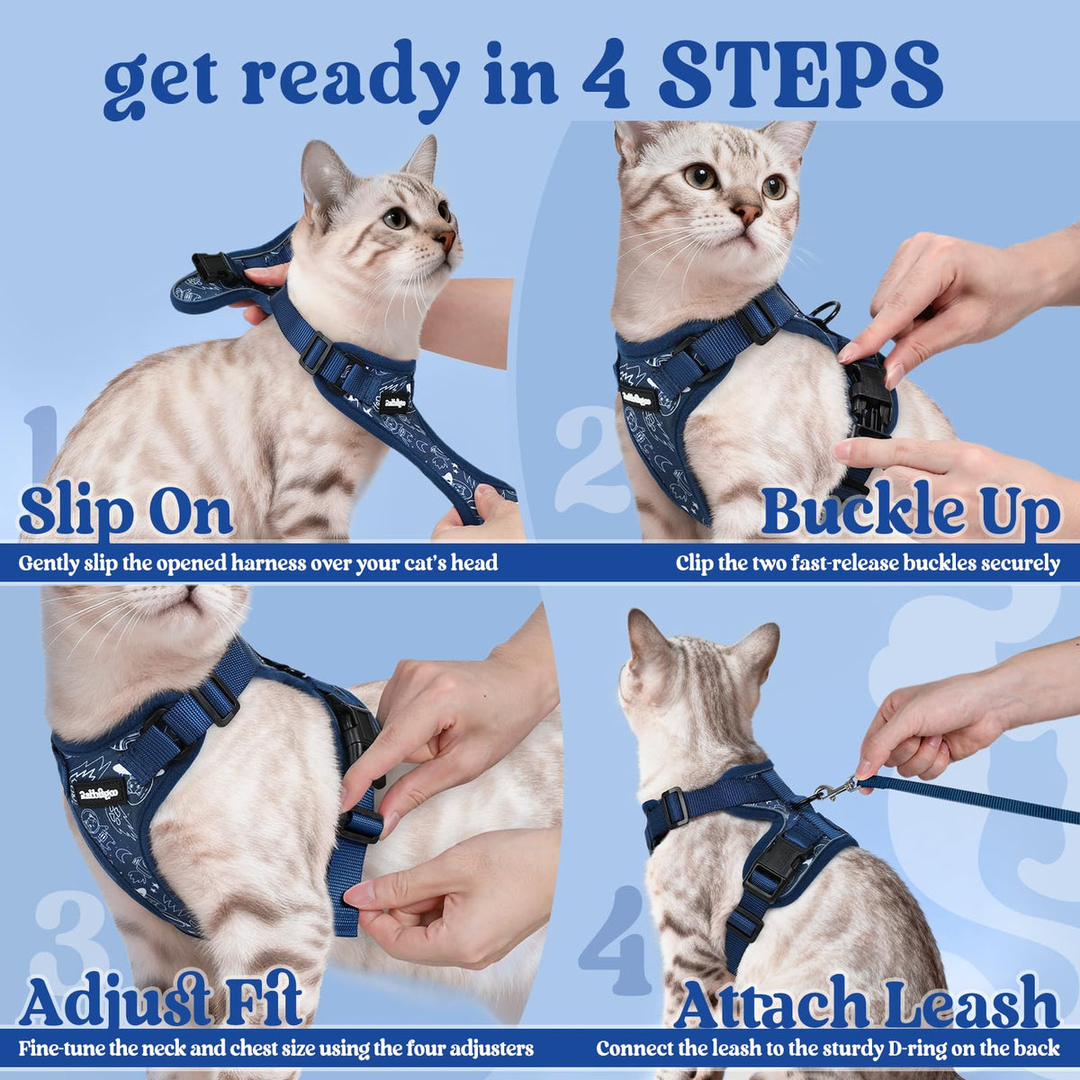 Cat Harness and Leash Set (Xxs / Cosmic Ace)