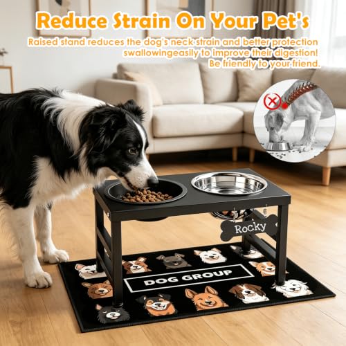 10" Elevated Dog Bowls (Black-L, Slow Feeder / Height:10inch)