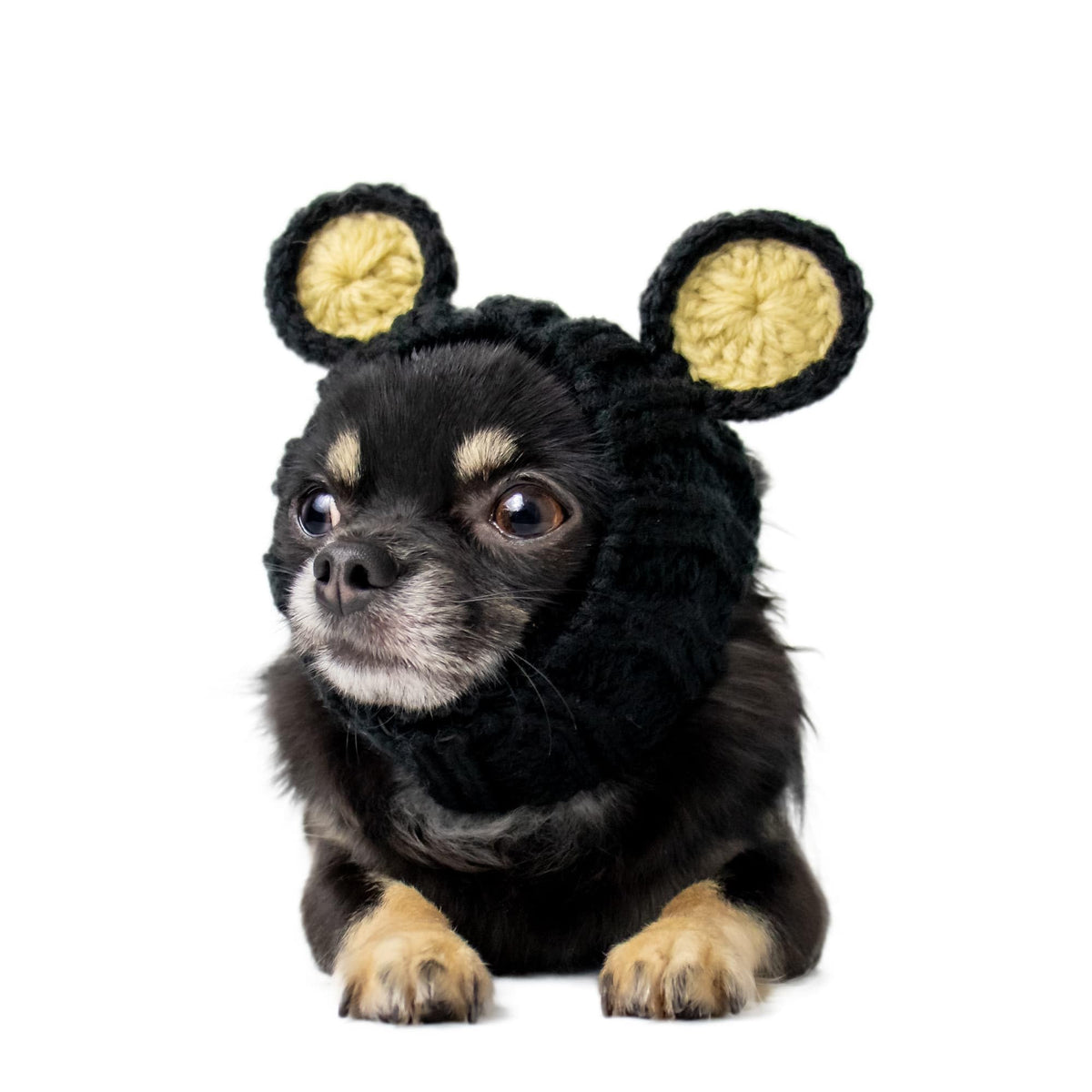 Black Bear Costume (Small / Black Bear)
