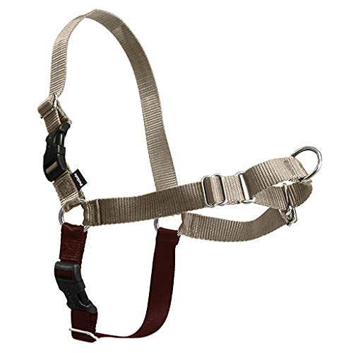 Easy Walk Harness (Small / Tan/Brown)
