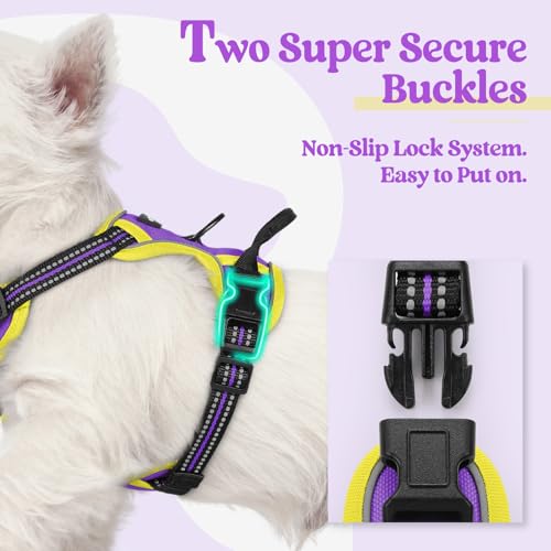 Dog Harness No Pull for Small Dogs with 2 Leash Clips (X-Small / Purple & Yellow)