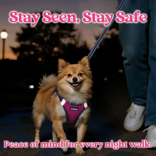 Dog Harness Small Sized and Leash Set (Rose Red & Navy Blue / L (Chest: 18.2"-20.5"))