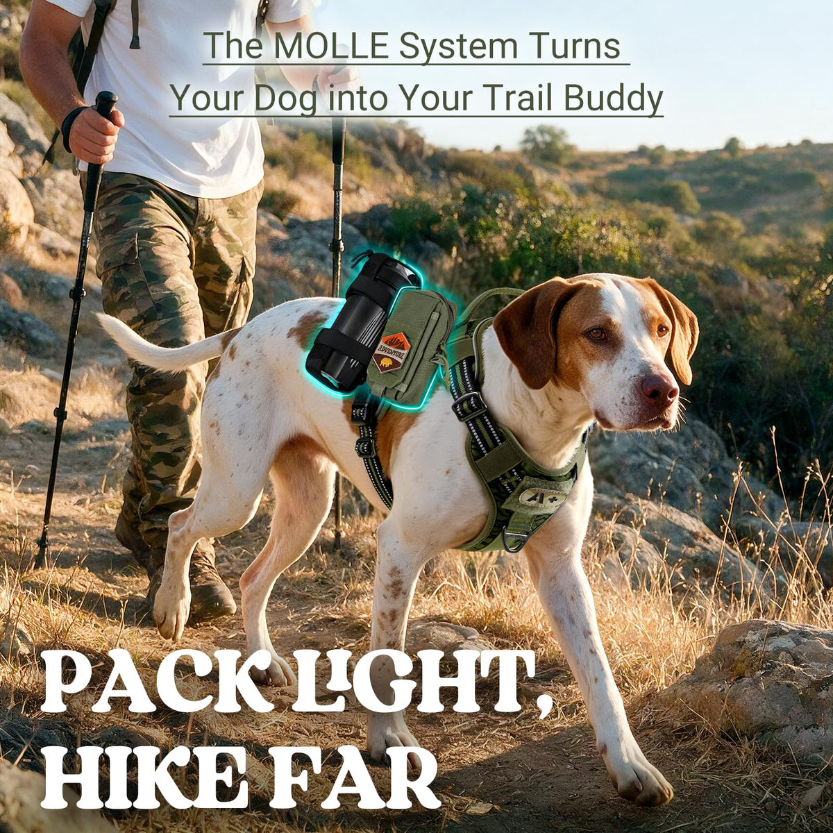 Tactical Dog Harness for Large (Green Desert / Medium)