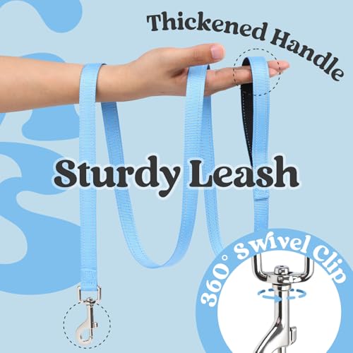 Dog Harness Small Sized and Leash Set (Black & Blue / S (Chest: 15.1"-16.5"))