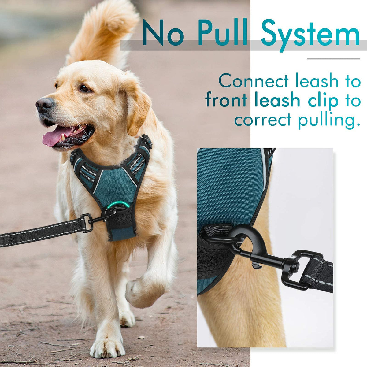 Dog Harness No Pull for Small Dogs with 2 Leash Clips (Small / Blue Coral)
