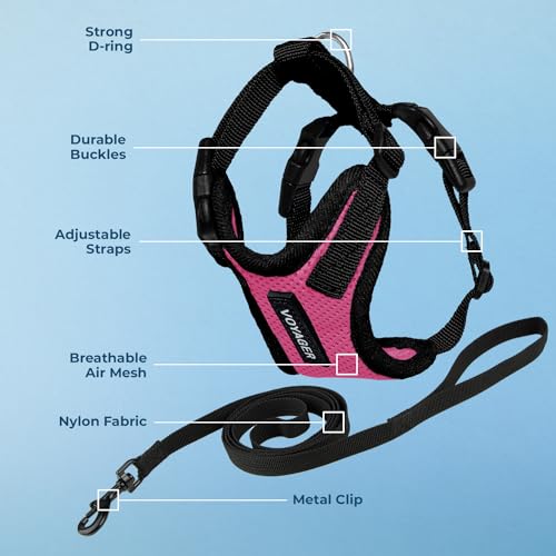 Voyager Step in Lock Cat Harness & Leash Set (Fuchsia/Black Trim / XXS (Chest: 11.5 - 14"))