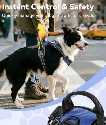 No Pull Dog Harness for Large Dogs (Large / Navy Blue)