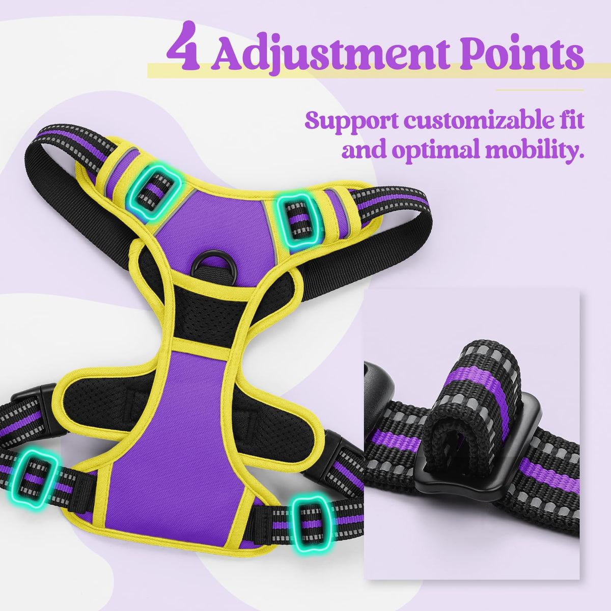 Dog Harness No Pull for Small Dogs with 2 Leash Clips (Purple & Yellow / Small)