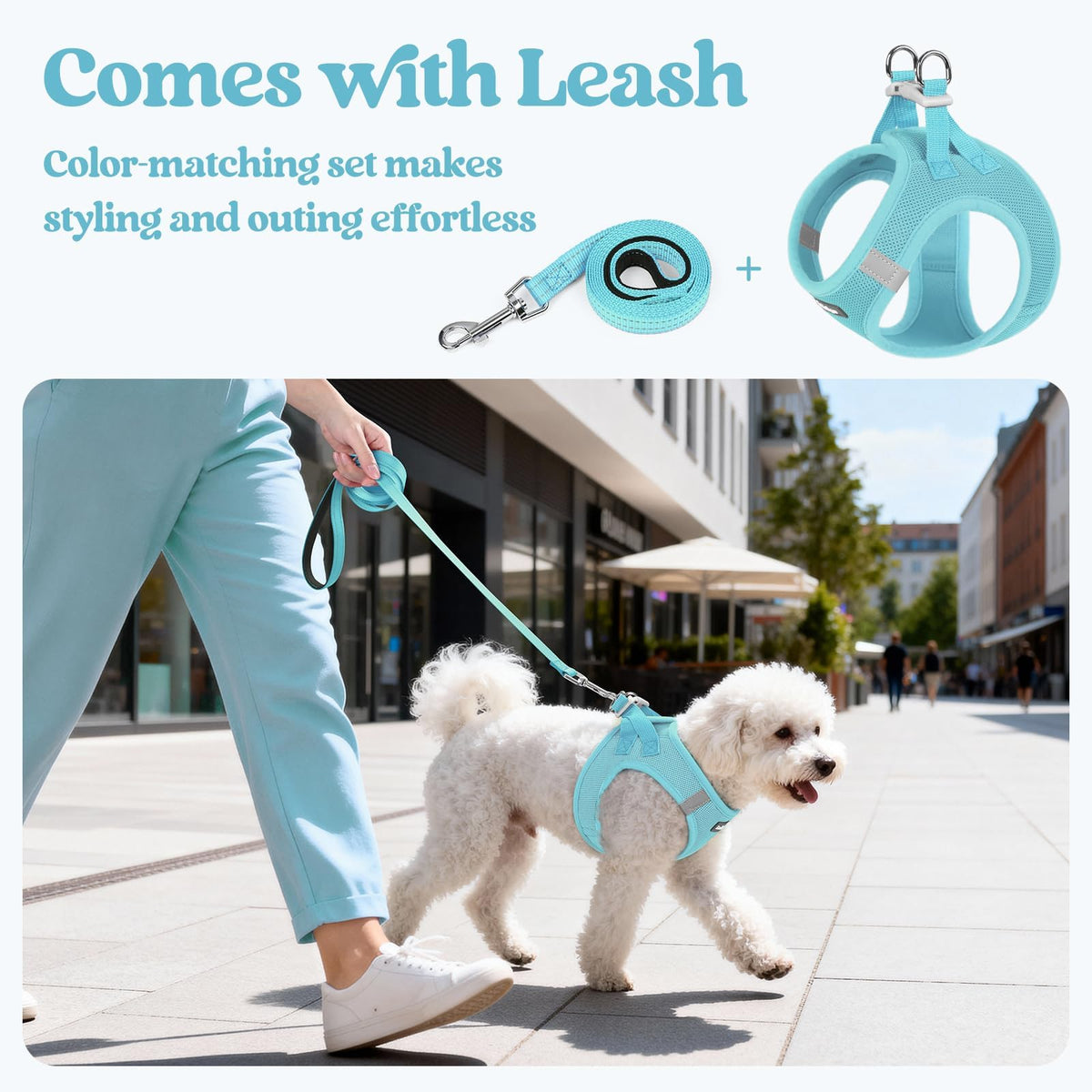 Dog Harness Medium Sized and Leash Set (Mint Blue / L (chest: 18.2 - 20.5"))