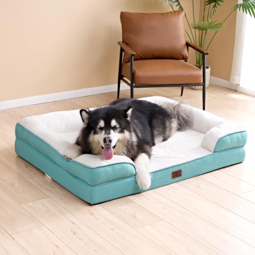 Orthopedic XXL Dog Bed (Turquoise Blue / 46.0"l X 35.0"w X 7.5"th)