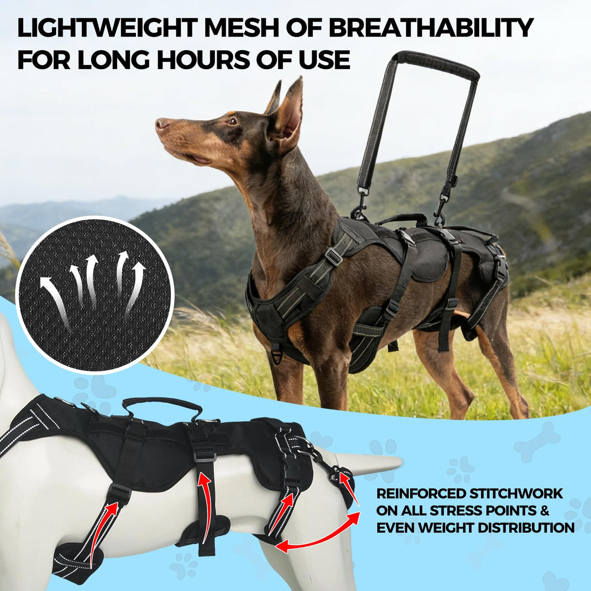 Dog Lift Harness for Large Dogs (Black / Large)