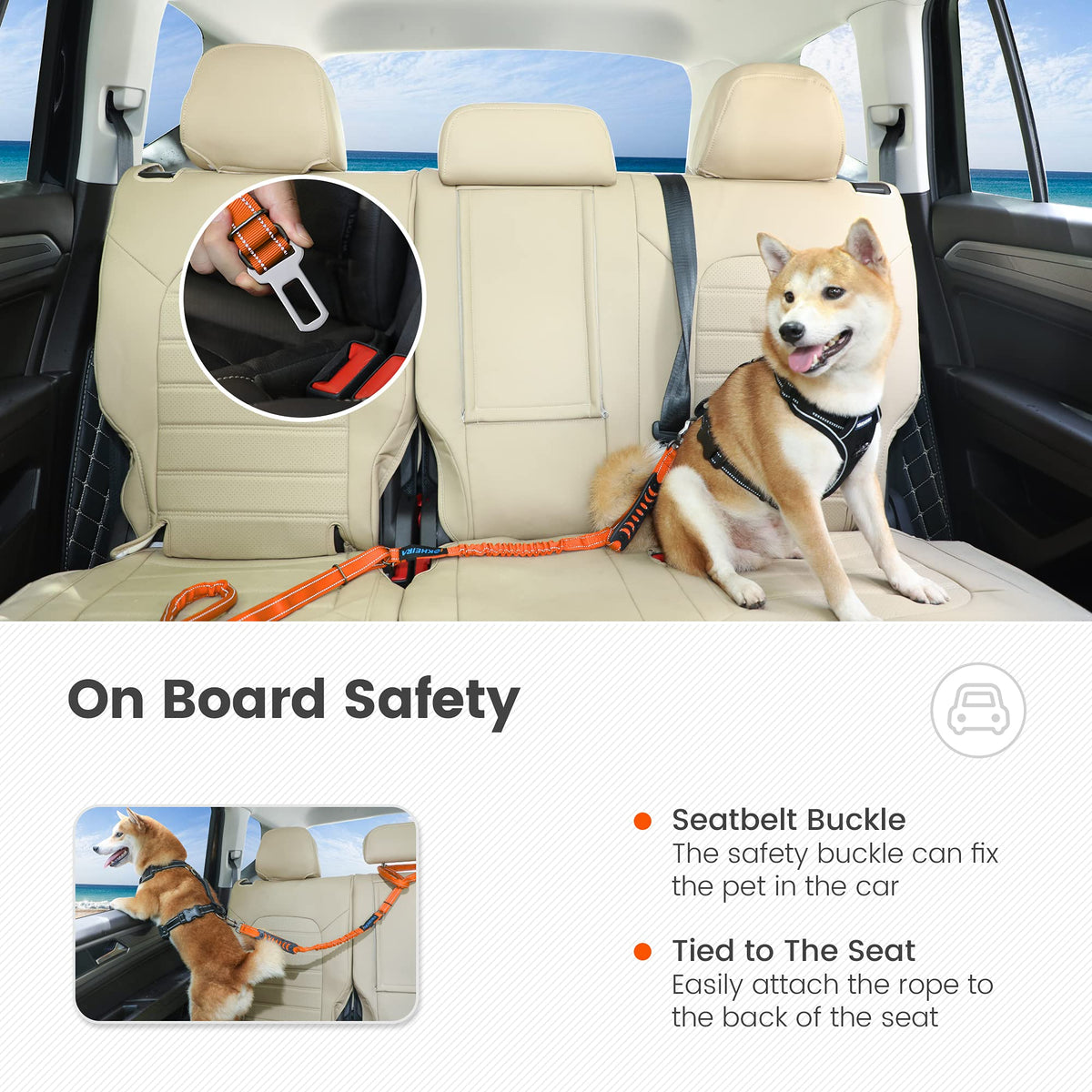 Orange Leash for Large Dogs (Orange)