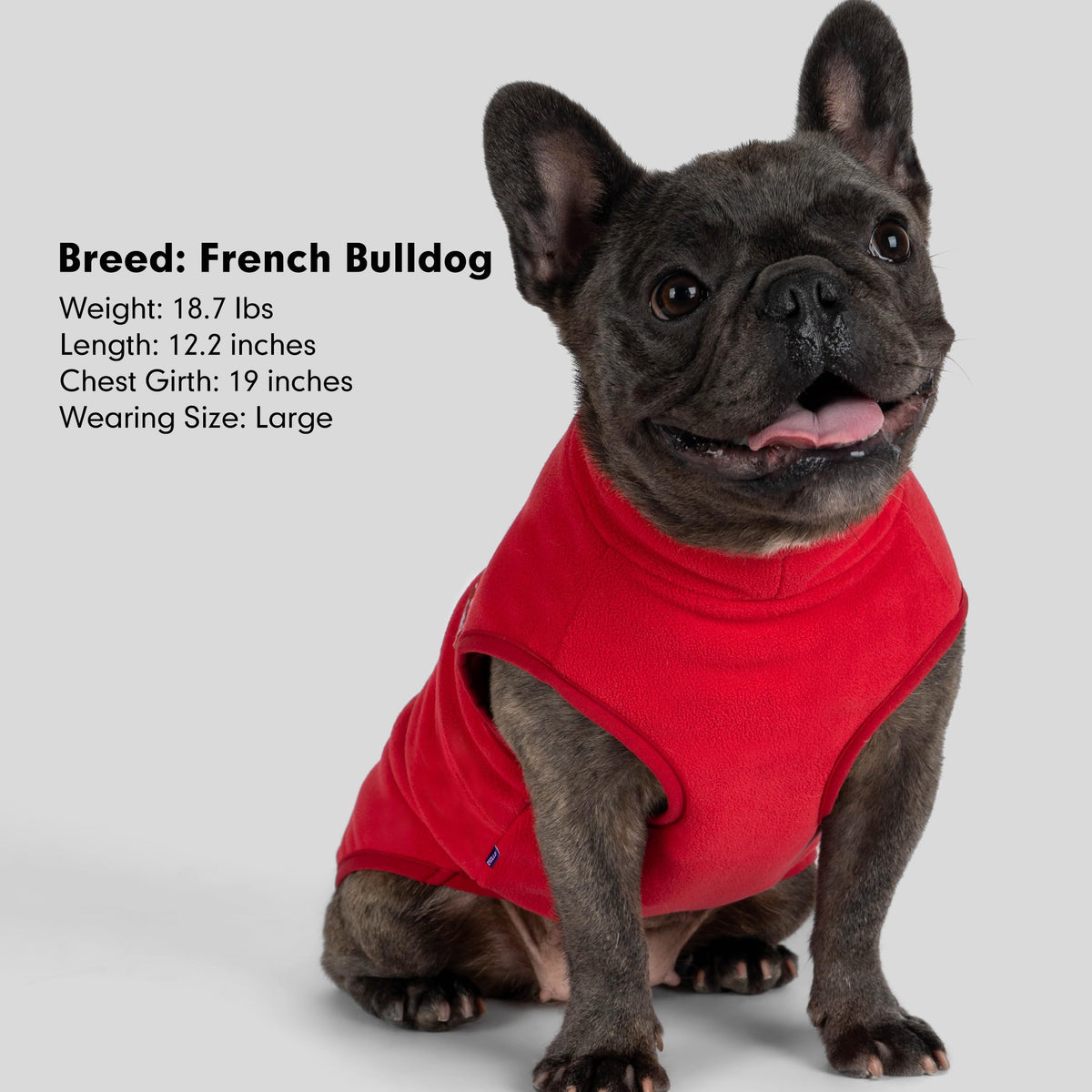 Fleece Dog Sweater (Red / Small)