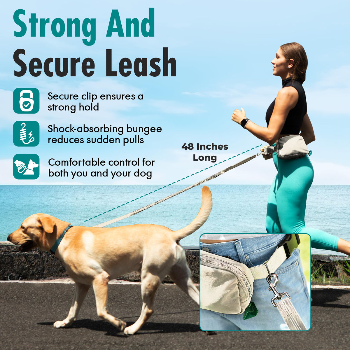 Hands Free Dog Leash with Dog Treat Pouch (Ivory)