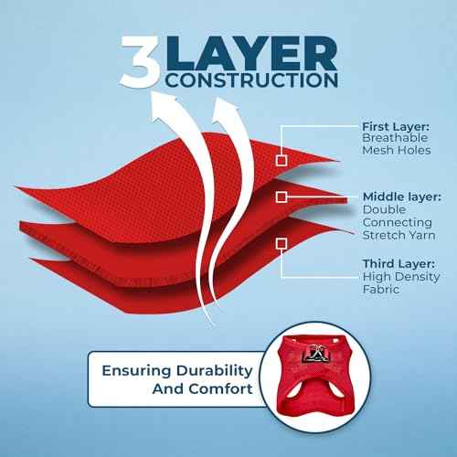 Voyager Step in Air All Weather Mesh Harness and Reflective Dog 5ft Leash Combo with Neoprene Handle (Harness Leash Set (Red) / M (Chest: 16 - 18"))