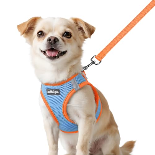 Dog Harness Small Sized and Leash Set (Blue & Orange / XXS (Chest: 12.4"-14.2"))