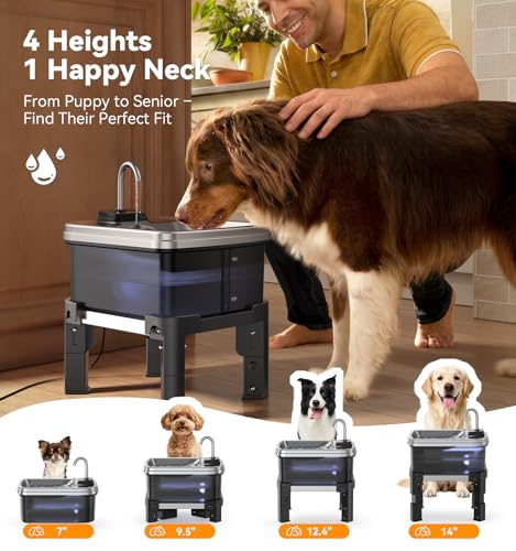 9L 2.38Gal Dog Water Fountain Elevated with 4 (Water Fountain + 3 Filters + 3 Sponges)
