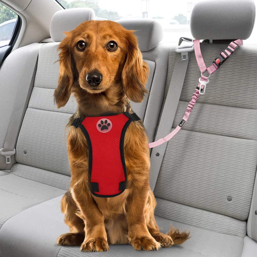 Dog Seat Belt for Car (I.Pink)
