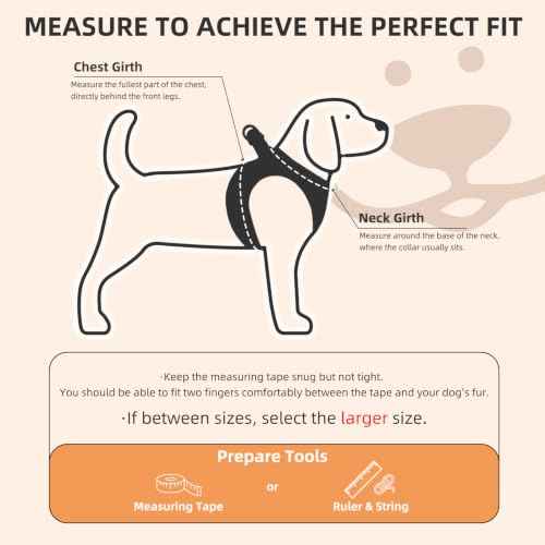 Dog Harness Collar and Leash Set No Pull for Small Medium Sized (Orange / XS (CHEST 13"-14.5"))