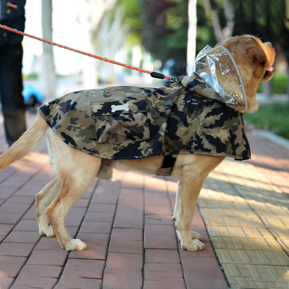 Waterproof Dog Raincoat (Camo / Small)