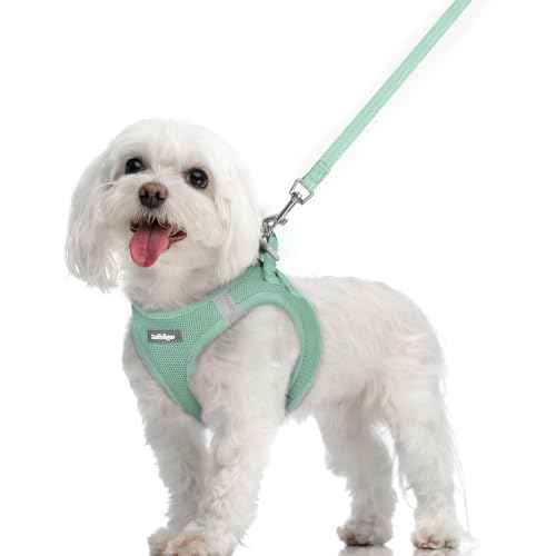 Dog Harness Medium Sized and Leash Set (Moss Green / M (chest: 16 - 18.5"))