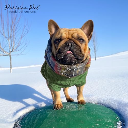 Warm Green Cable Knit Pet Sweater for Dogs & Cats by Parisian Pet (Medium / Cable Knit Green)