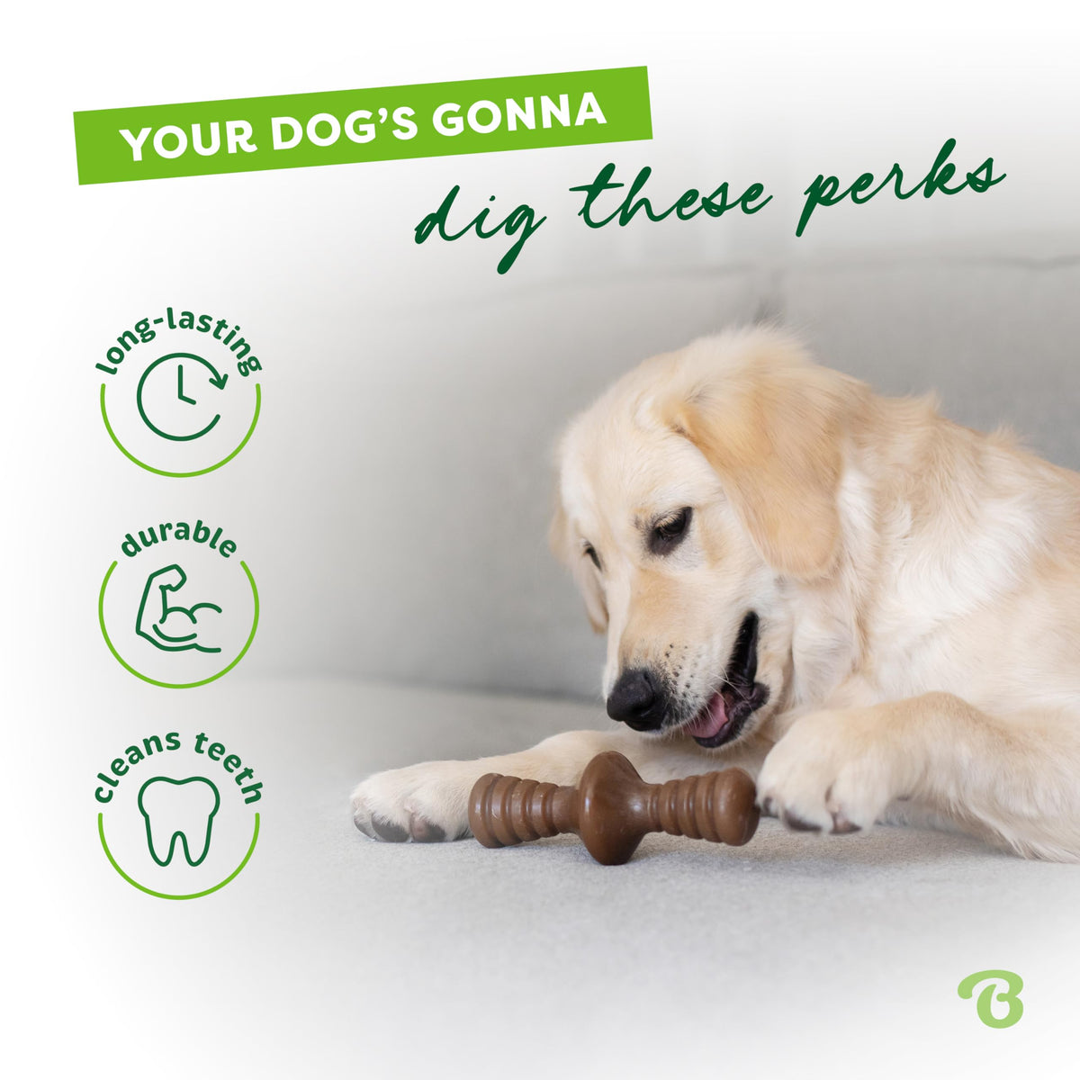 Zaggler Dog Chew Toy for Aggressive Chewers (REAL Peanut / Small)