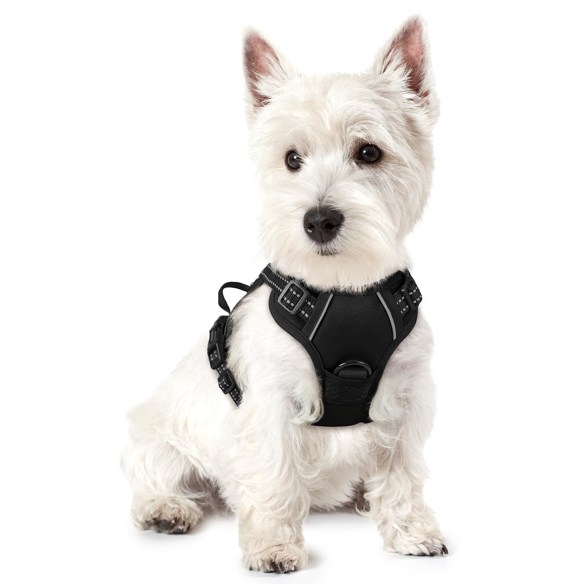 Dog Harness No Pull for Small Dogs with 2 Leash Clips (X-Small / Black)