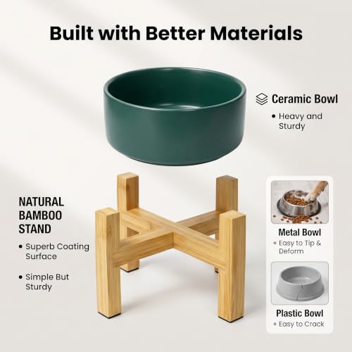 Raised Dog Bowl (Small / Green)