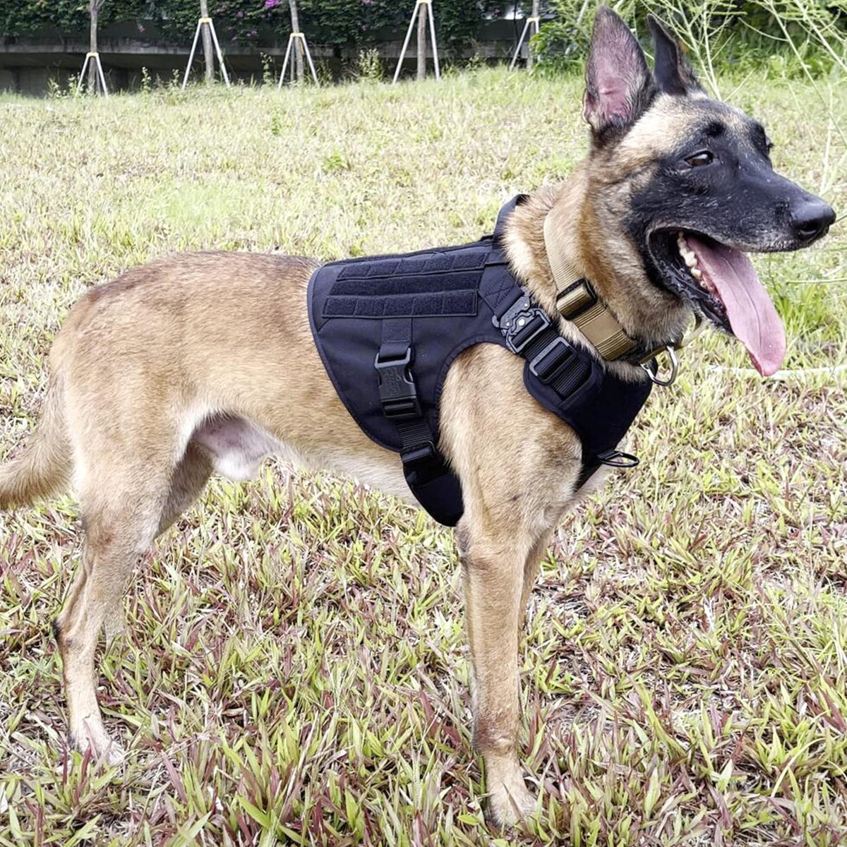 Tactical Dog Harness (X-Large (Pack of 1) / Black)