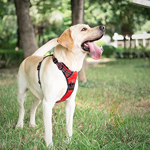 Dog Harness Large (L / Red)