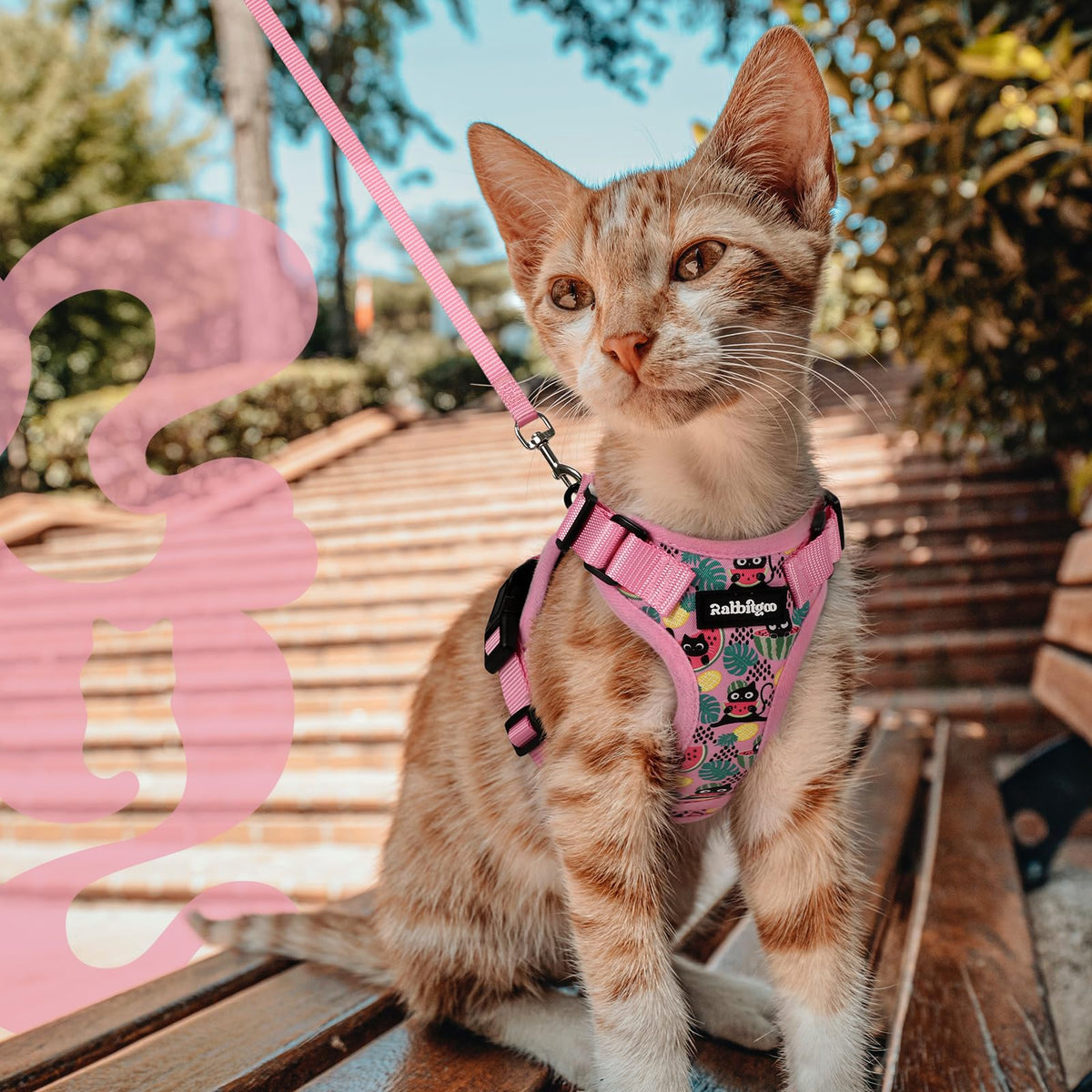 Cat Harness and Leash Set (Xs / Melon Munch)